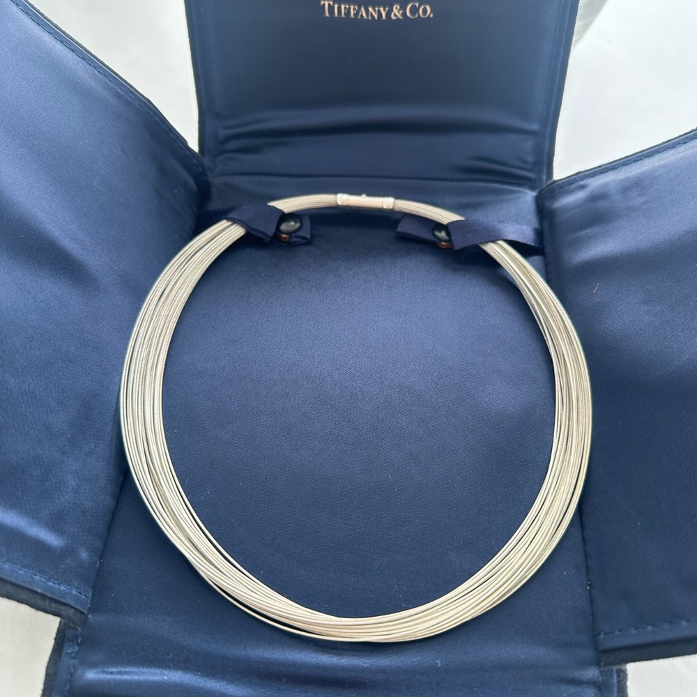 Tiffany & Co. RARE Silver Strand Necklace
